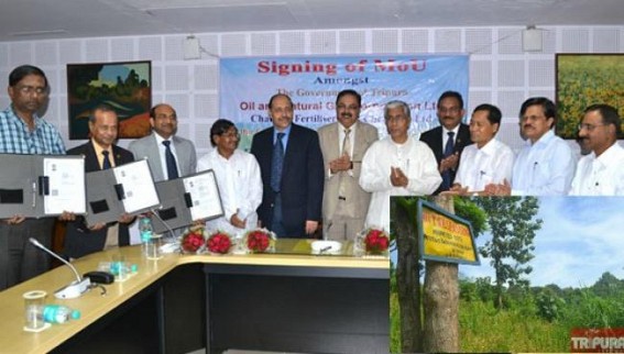 Rs. 5000â€™s Urea plant : Chambal Fertilizer company no more with Tripura 
